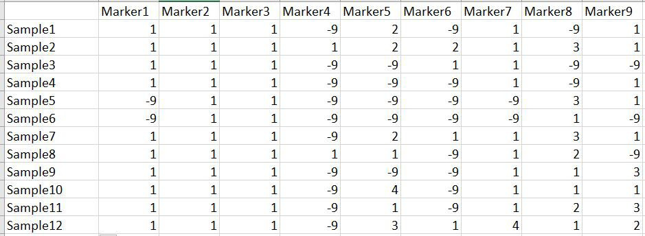 Input structure File