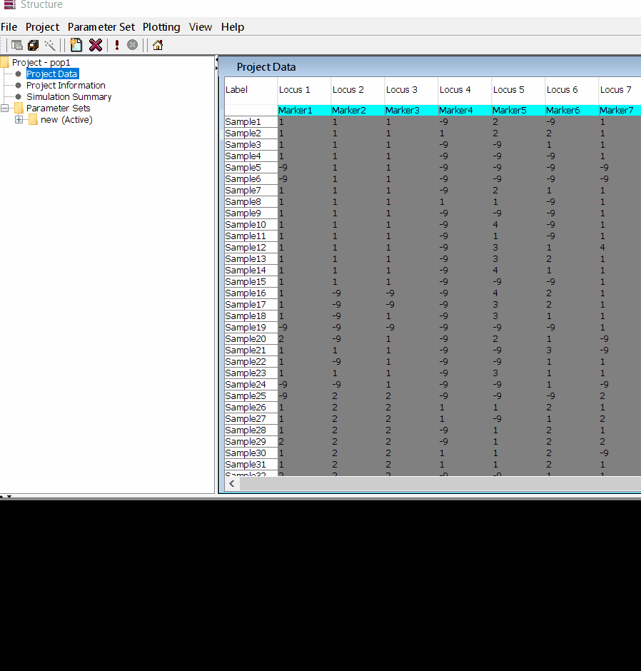 Running the project structure