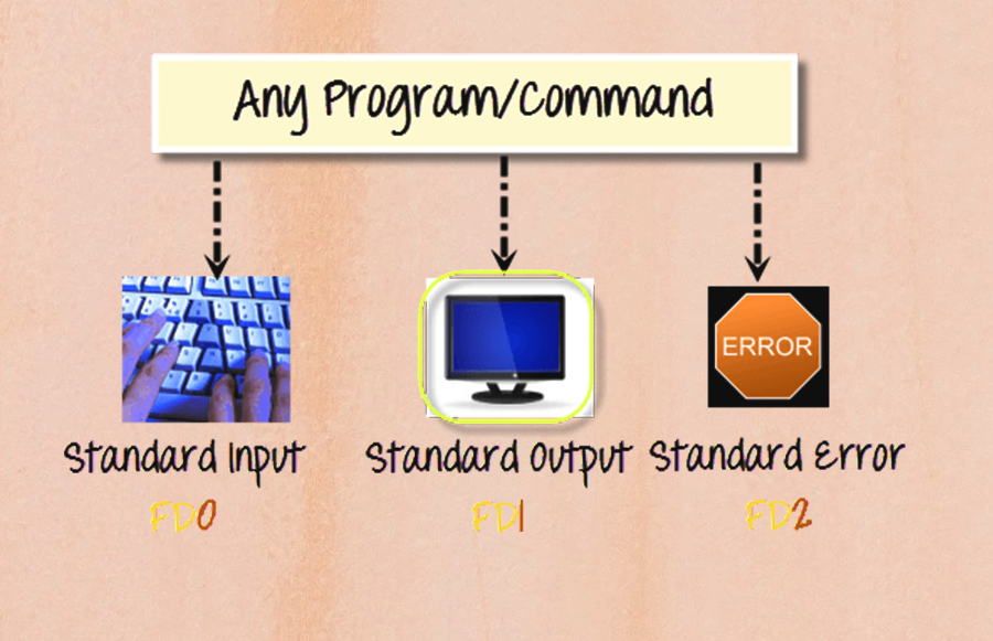 Input-Output Redirection